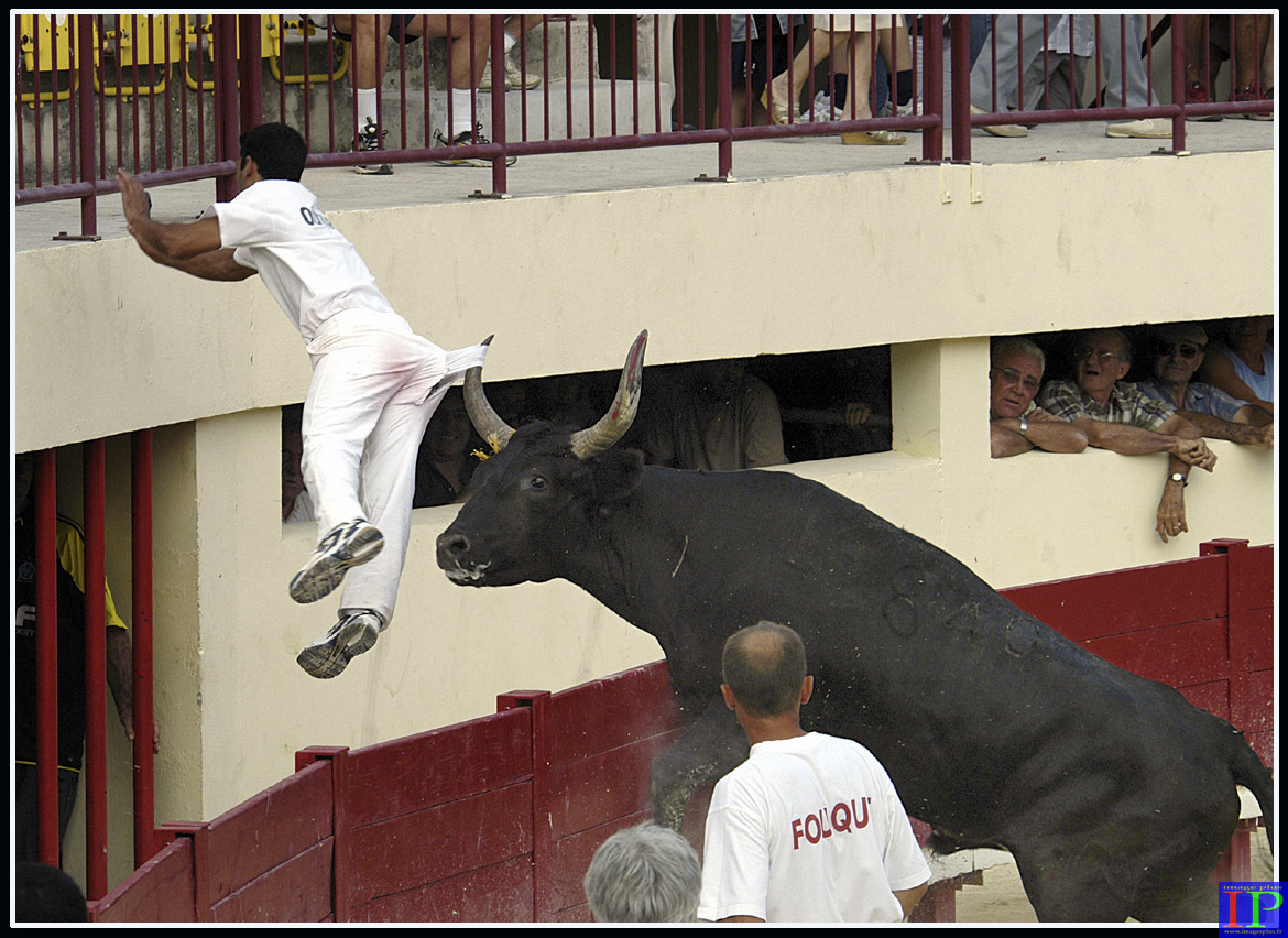 001-Mauguio-BB.jpg 001-Mauguio-BB.jpg