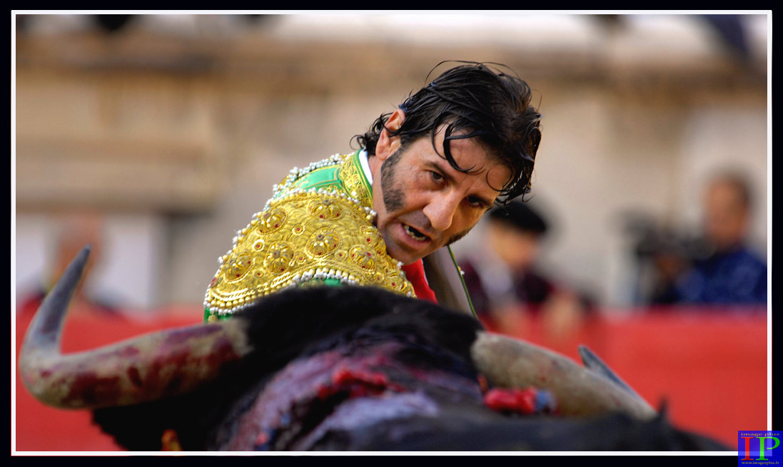 074-José Padilla-Nîmes-17-09-09-BB.jpg 074-José Padilla-Nîmes-17-09-09-BB.jpg