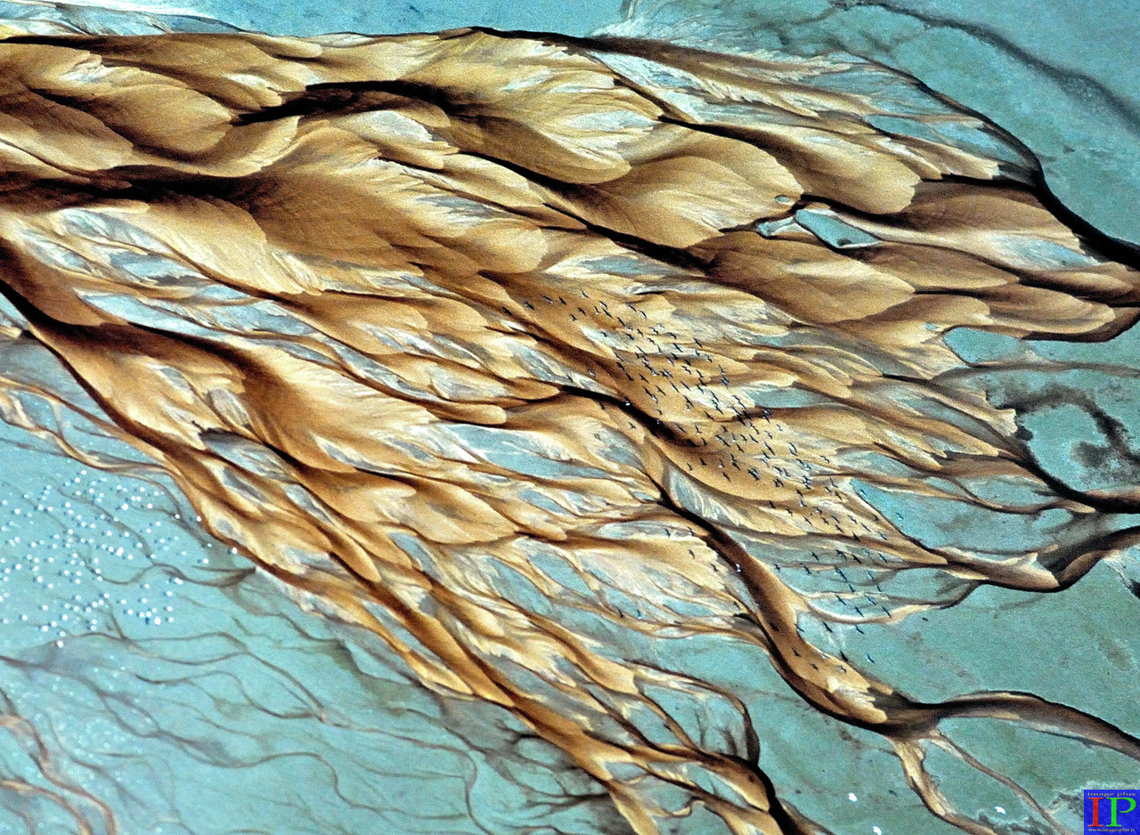 001-1-Déjection mangrove Guyane-1400.jpg 001-1-Déjection mangrove Guyane-1400.jpg