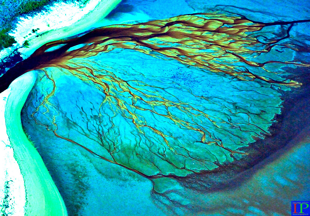 002-Déjection mangrove Guyane-BB.jpg 002-Déjection mangrove Guyane-BB.jpg