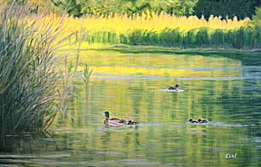 013-Au bord de l'eau-AA.jpg 013-Au bord de l'eau-AA.jpg