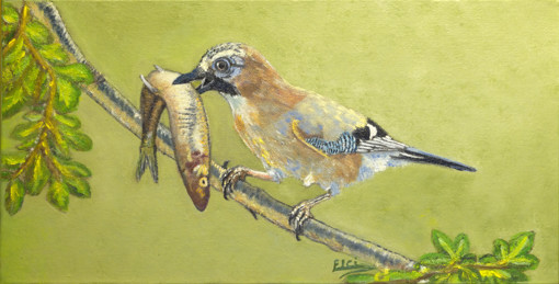 018-Le martin pêcheur-AA.jpg 018-Le martin pêcheur-AA.jpg