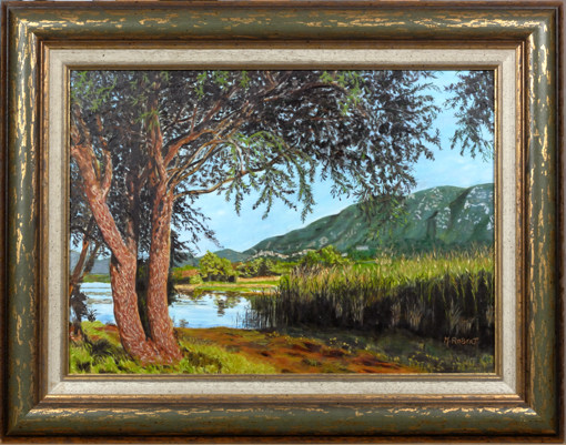 018-Un olivier au lac du Salagou-AA.jpg 018-Un olivier au lac du Salagou-AA.jpg