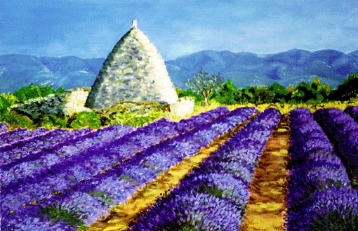 023-Ballade en Luberon-AA.jpg 023-Ballade en Luberon-AA.jpg