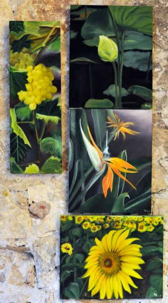 011-Aniane-15-04-2011_AA.JPG 011-Aniane-15-04-2011_AA.JPG