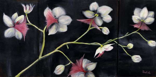 005-Aniane-15-04-2011_AA.JPG 005-Aniane-15-04-2011_AA.JPG