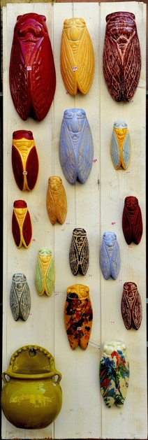 Cigales AA © photo Yvan Marcou Cigales AA © photo Yvan Marcou