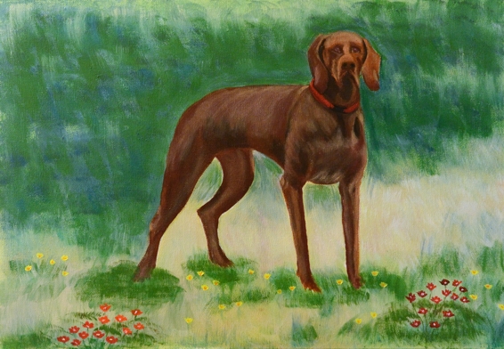 078-Fifa - Éliane Cianni AA 078-Fifa - Éliane Cianni AA