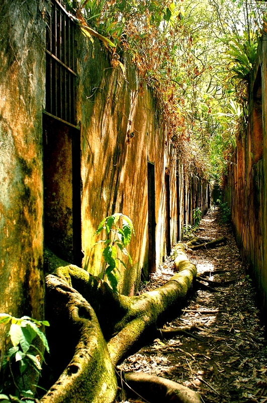 Bagne de Guyane - La réclusion - Îles du Salut Bagne de Guyane - La réclusion - Îles du Salut