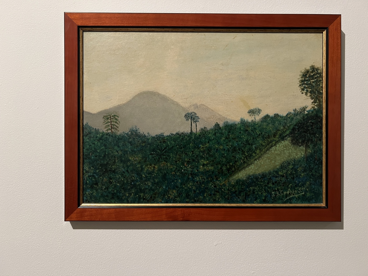 IMG_6059_01 IMG_6059_01