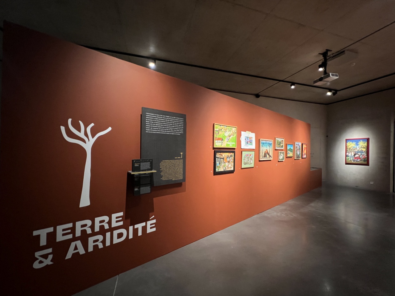 IMG_6123_01 IMG_6123_01