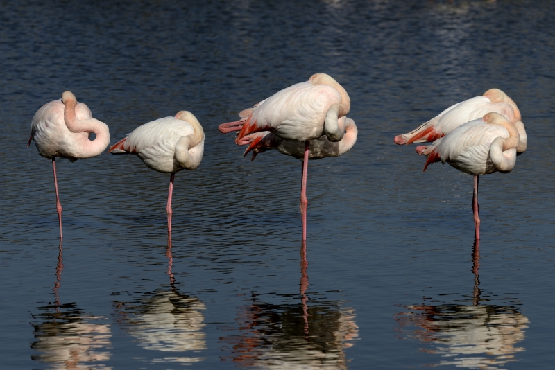 099-Yvan Marcou-Expo Montpeyroux-2014-03-14 © Yvan Marcou - copie 099-Yvan Marcou-Expo Montpeyroux-2014-03-14 © Yvan Marcou - copie
