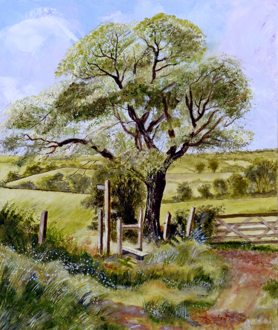 068-La campagne - Monique Robert-AA 068-La campagne - Monique Robert-AA