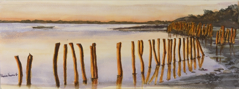 022-Canivelles Thau - Marie-France Goujon 022-Canivelles Thau - Marie-France Goujon