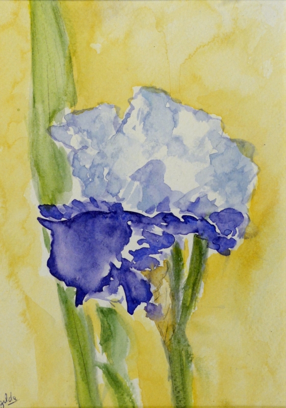 026-Iris - Marie-France Goujon