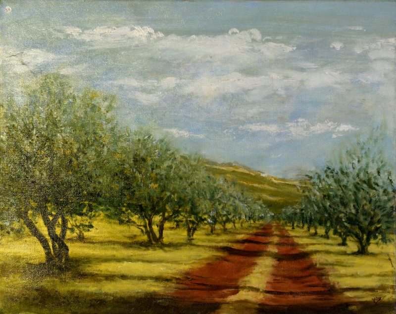 044-Oliviers du Salagou - Marie-France Goujon 044-Oliviers du Salagou - Marie-France Goujon