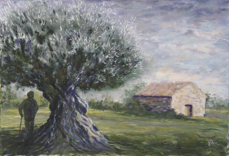 045-Olivier de St. Jean-de-Fos - Marie-France Goujon 045-Olivier de St. Jean-de-Fos - Marie-France Goujon