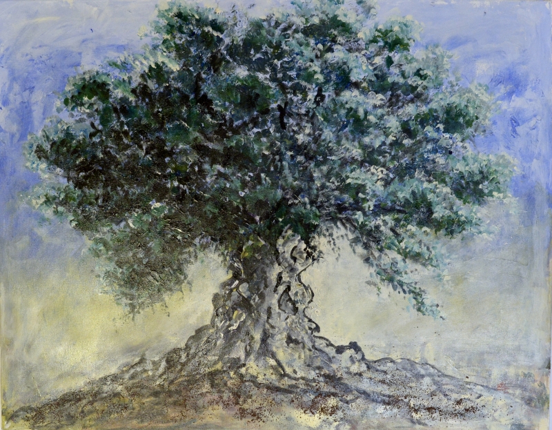 051-Olivier millénaire St.Jean-de-Fos - Marie-France Goujon 051-Olivier millénaire St.Jean-de-Fos - Marie-France Goujon