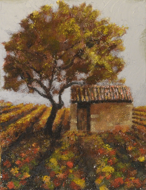 061-Mas aux vignes - Marie-France Goujon 061-Mas aux vignes - Marie-France Goujon