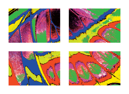 Abstrait 1 - © Yvan Marcou Abstrait 1 - © Yvan Marcou