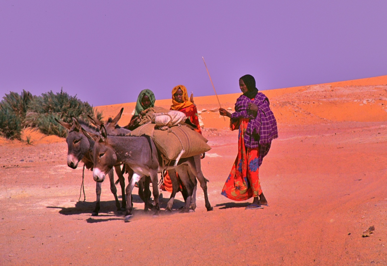 006-Vers le marché 006-Vers le marché