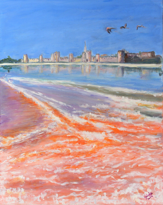 96-Aigues-Morte vue des Salins n°1 - Marie-France GOUJON_01 96-Aigues-Morte vue des Salins n°1 - Marie-France GOUJON_01