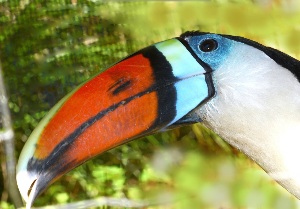 SL Maroni_145© Yvan Marcou-B SL Maroni_145© Yvan Marcou-B