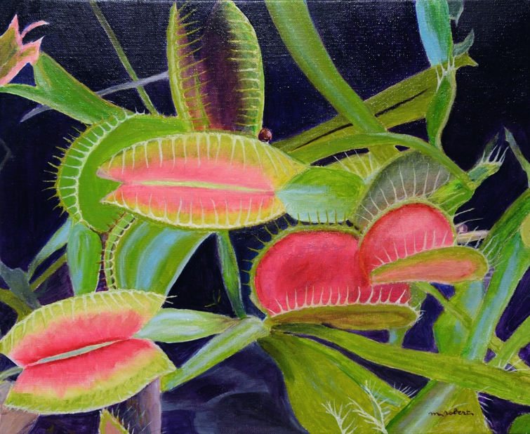 076-Plante Carnivore - Monique ROBERT - A 076-Plante Carnivore - Monique ROBERT - A